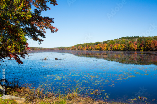 Fototapeta Naklejka Na Ścianę i Meble -  Fall foliage reflecting in water at Goodwin State Forest, Connecticut.