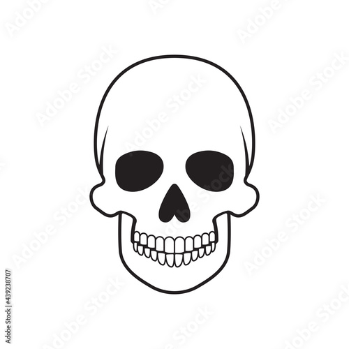 Human skull on a white background. Vector.