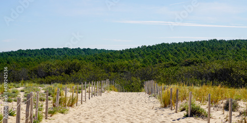 Fototapeta Naklejka Na Ścianę i Meble -  Scenic dunes panorama on bright summer day view on pines forest in Lacanau ocean beach