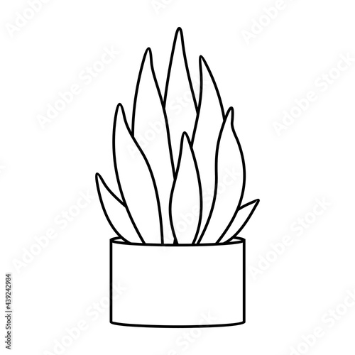 Cactus and succulent line style cartoon vector illustration. Decorative flower plant in pot. Isolated icon cacti