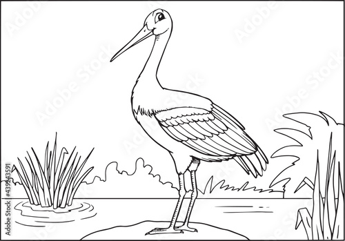 Black and White Cartoon Vector Illustration of Stork Bird Animal Character for Coloring Book