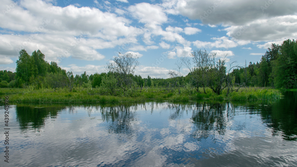summer landscape from the river, cloud reflections in the water, green trees and grass on the river banks, Sedas River, Latvia