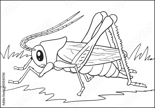 Hand Drawn Grasshopper Sketch . Vector 