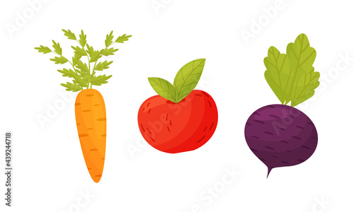 Ripe Vegetables as Seasonal Harvesting and Yield Vector Set