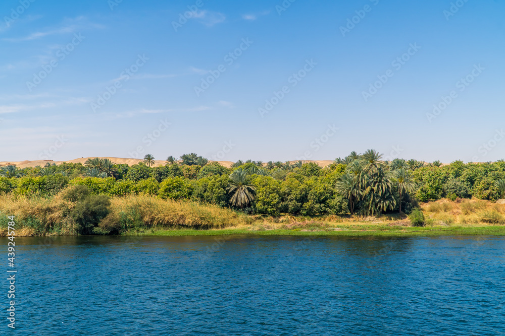 Panoramic view of fertile vegetation along the banks of the Nile River near Edfu, Egypt Panoramic view of fertile vegetation along the banks of the Nile River near Edfu, Egypt