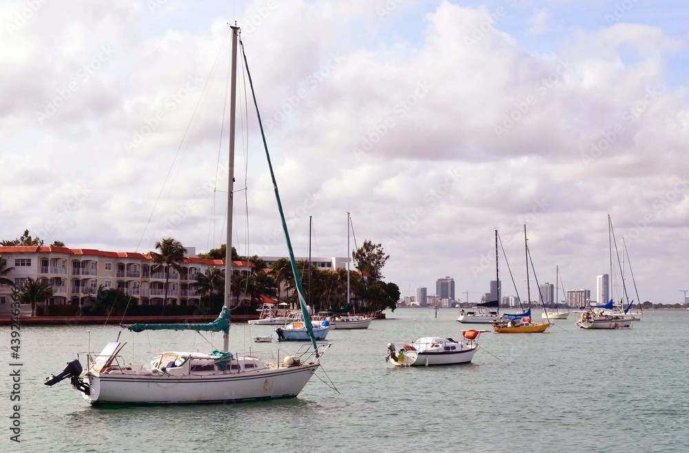 Sailboats Moored on Sunset Harbor in Miami Beach,Florida