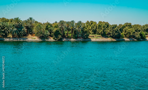 Panoramic view of fertile vegetation along the banks of the Nile River near Edfu  Egypt