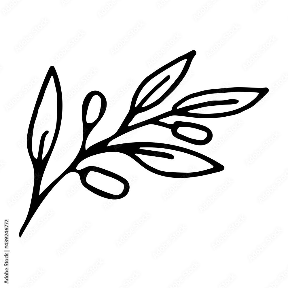 Vector illustration of a branch of olives in doodle style Vector illustration of a branch of olives in doodle style