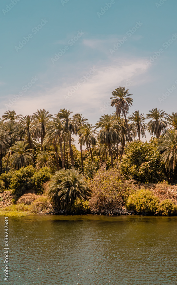 Obraz premium Sunset panorama view of the shores of the Nile River with palm trees and vegetation near Edfu, Egypt