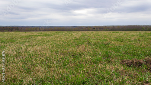 landscape green field