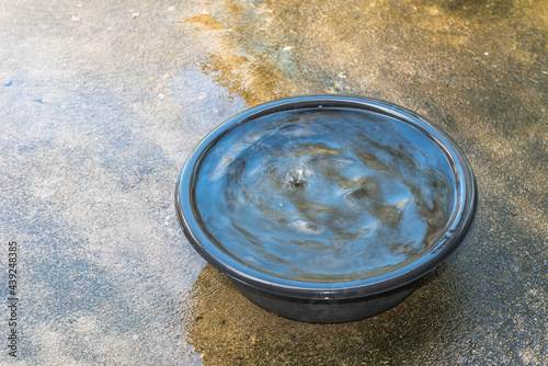 Black plastic container placed on the floor filled with water .