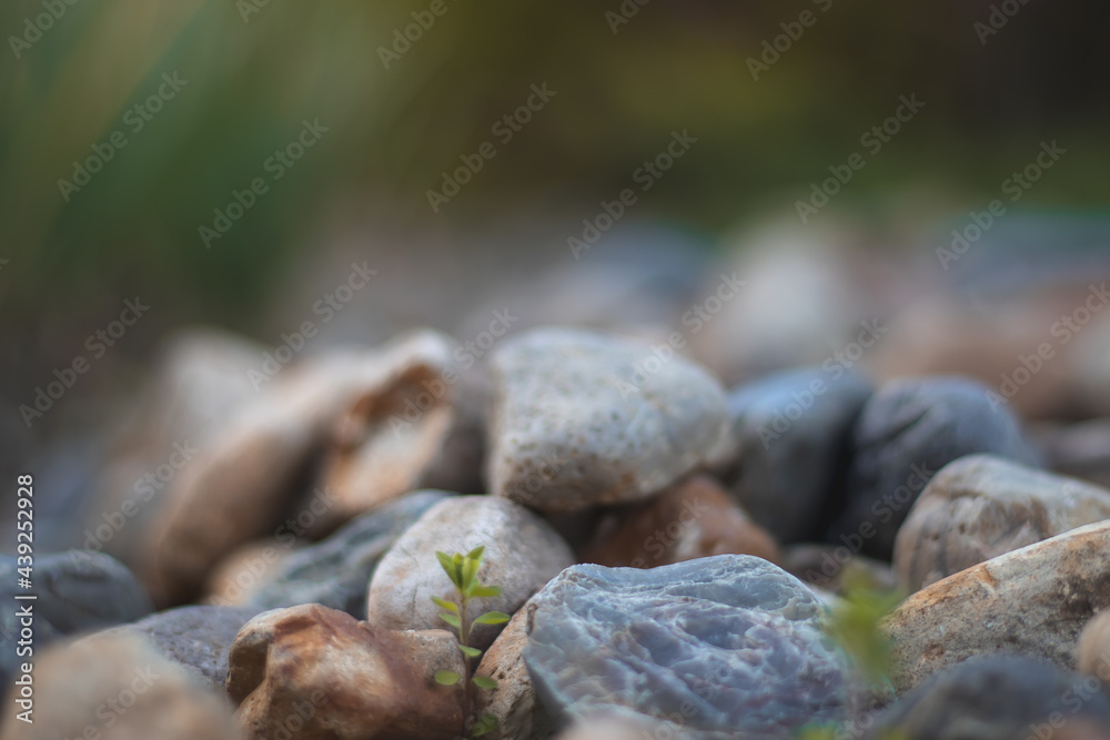 rocas en la naturaleza
