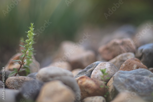 rocas en la naturaleza