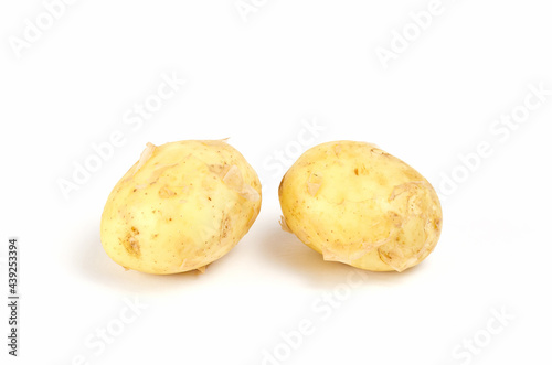 Raw, unpeeled potatoes on a white background. Two ripe root vegetables in the peel.