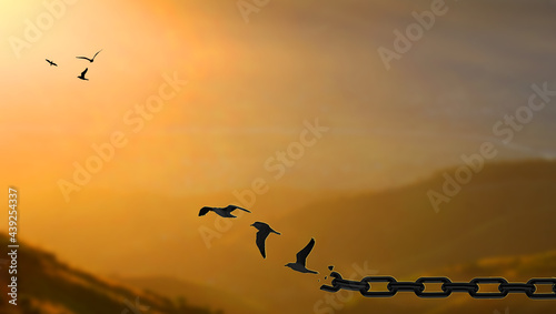 Liberty Concept. Birds fly Away Breaking Metal Chains At high mountain sunset.  Freedom, deliverance, discharge, and liberation concept 