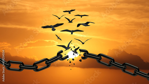 Freedom Concept : Birds Broken The Chain and Flying Away. Chains transform to free Bird At Sunset. yellow Orange Sky. Concept Of Liberty. 