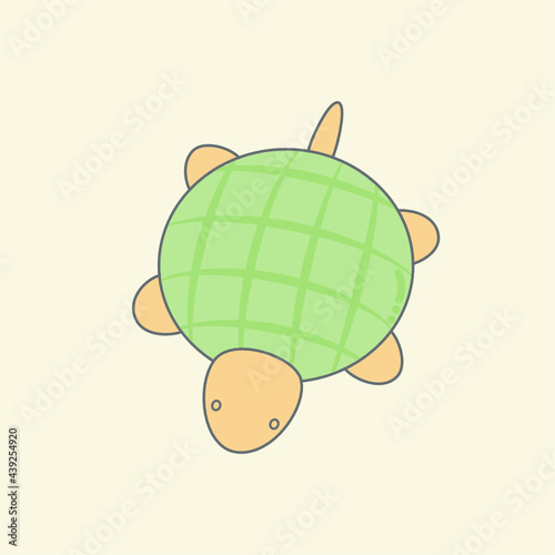 Melon Pan , turtle shape bread, Japanese melon bread