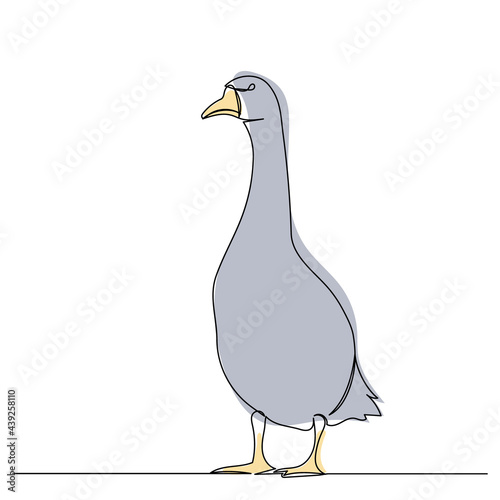 gray goose drawing by one continuous line, isolated