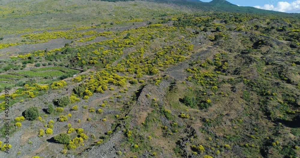 Aerial view of Sicily mountain. Drone aerial of arid land near Etna volcano. Aerial view of Sicily mountain. Drone aerial of arid land near Etna volcano.