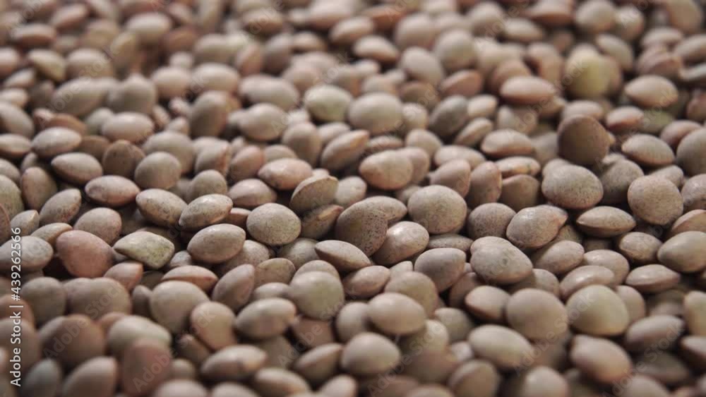 Raw lentil grains close up. The uncooked legumes are spinning. Macro shot. Rotation Raw lentil grains close up. The uncooked legumes are spinning. Macro shot. Rotation