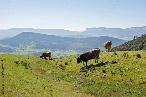 Zalla town mountains in Vizcaya province, Spain photo
