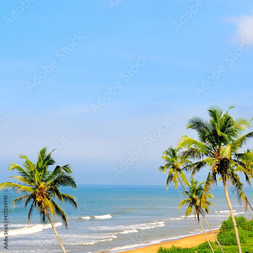 Tropical beach  turquoise sea water  ocean wave   green palms.