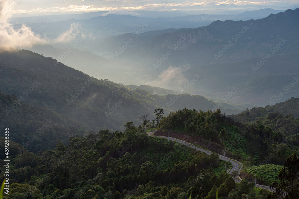 Obraz premium landscape with fog