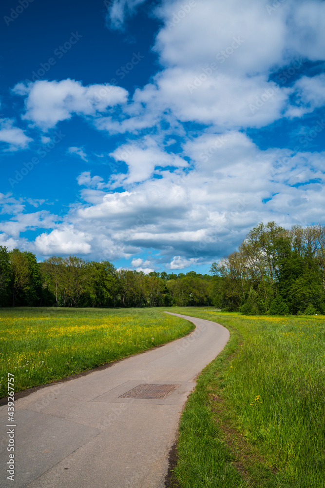 Germany, Curved road alongside colorful blooming meadow nature landscape and flowers and forest trees under blue sky and sun in summer