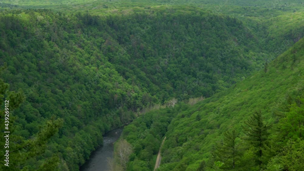 A high angle view of the Pine Creek Gorge or the Grand Canyon of Pennsylvania. A high angle view of the Pine Creek Gorge or the Grand Canyon of Pennsylvania.