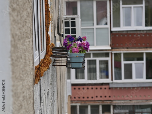 window with flowers