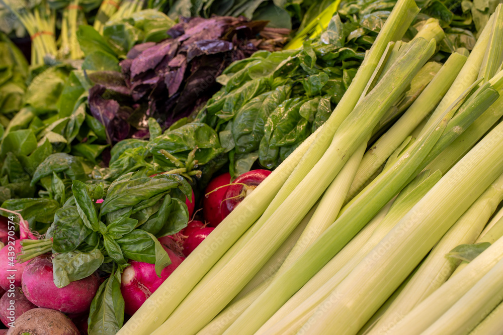 Varieties of vegetables for sale at the greengrocer stall. Food background