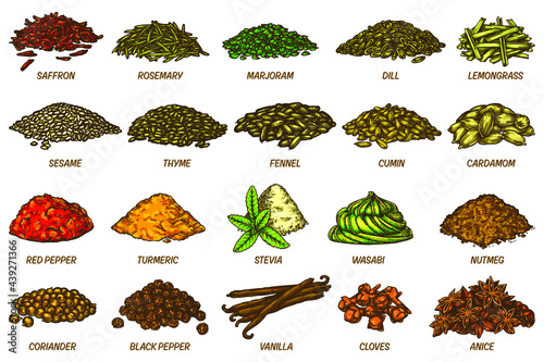 Spices and herbs sketch set. Vector line icons of dried condiment or seasoning. Aroma cooking ingredients or flavoring. Hand drawn food supplement elements. Culinary and cuisine theme