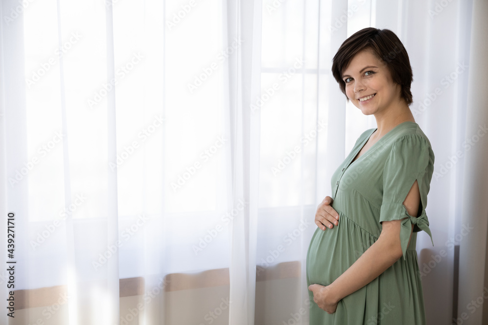 Portrait of smiling pregnant woman in green dress touching caressing belly, standing at home, happy young future mom looking at camera, enjoying healthy pregnancy, motherhood concept, copy space Portrait of smiling pregnant woman in green dress touching caressing belly, standing at home, happy young future mom looking at camera, enjoying healthy pregnancy, motherhood concept, copy space