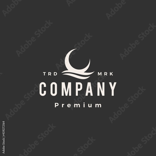crescent moon water wave hipster vintage logo vector icon illustration
