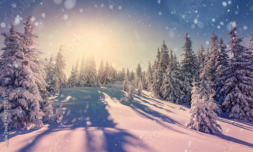 Amazing athmospheric Landscape. winter scenery at sunset. retro, vintage filter. postcard. Snow covered tree under sunlight. Sunlight sparkling in the snow. winter nature background. christmas concept © jenyateua