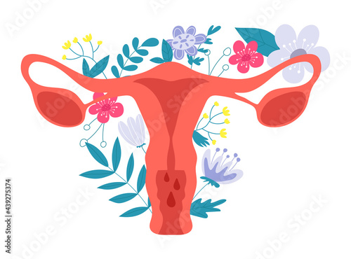 Female Reproductive System with Flowers. Feminine Gynecology. Anatomical Female Uterus, Ovaries. Vagina Symbol Menstruation. Hand Drawn Uterus, Womb Female Reproductive Organs. Vector illustration.