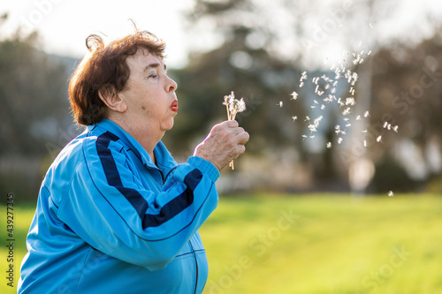 International Day of Older Persons. Portrait of an elderly caucasian grandmother blowing on a dandelion. Park in the background. Copy space. The concept of Alzheimer s disease  dementia