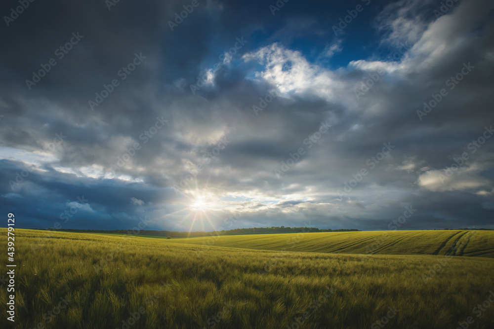 Sunbeams breaking through storm clouds over a bright field of wheat.