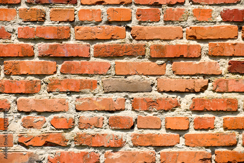 The background is an old brick wall. The wall is made of red ceramic bricks.
