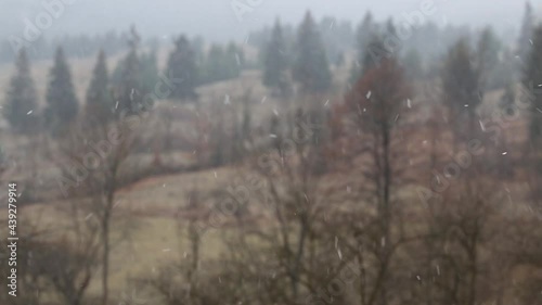 Snowing on the countryside