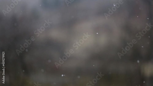 Snowing closeup 