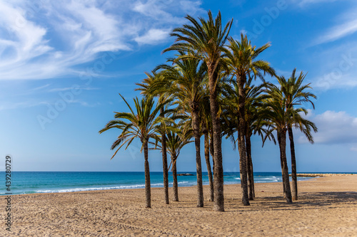 Views of Villajoyosa beach with its palm trees in the foreground .