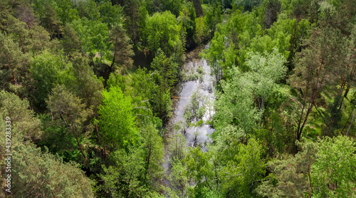 Small overgrown forest lake, aerial view in summer