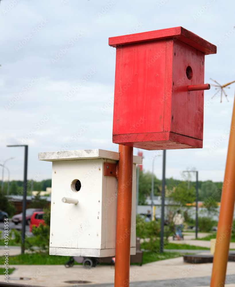 Colored wooden bird houses in the city