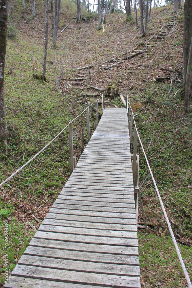 疎らに木が生える山の地形に沿うように、簡素な階段や橋が設けられている風景