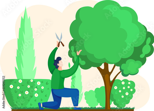 Man shears plants with scissors stands. Professional garden worker working with tree in backyard. Gardening, planting topiary plants and hedges design. Agriculture, gardening and farming