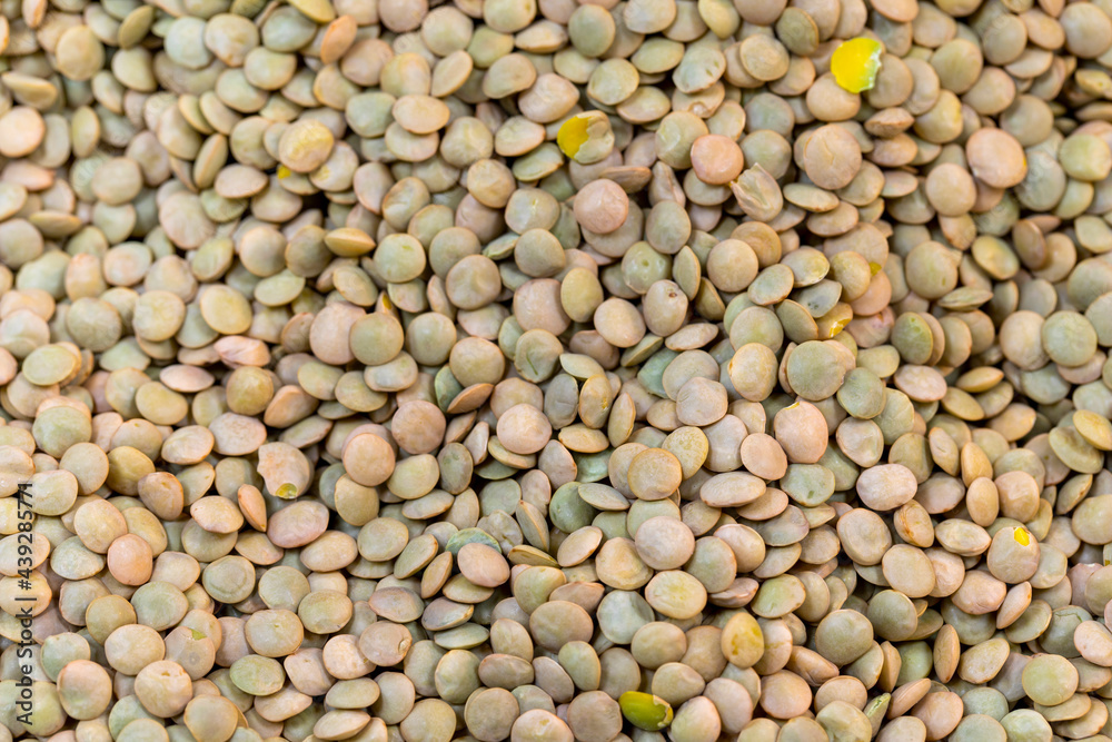 Green lentils. Close-up green lentil grains. Green lentils as background texture Green lentils. Close-up green lentil grains. Green lentils as background texture