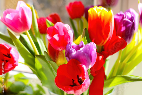 Fresh bouquet of blooming fragrant tulips in the park.