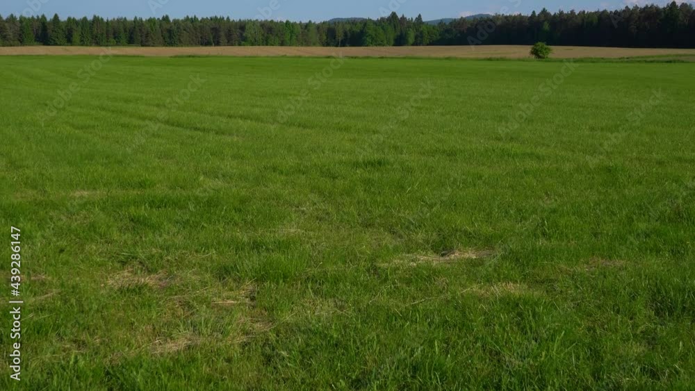 Beautiful landscape and green grassland in Slovenia. Farming pasture field. Agronomy and agriculture concept. Forward moving, wide angle, real time Beautiful landscape and green grassland in Slovenia. Farming pasture field. Agronomy and agriculture concept. Forward moving, wide angle, real time
