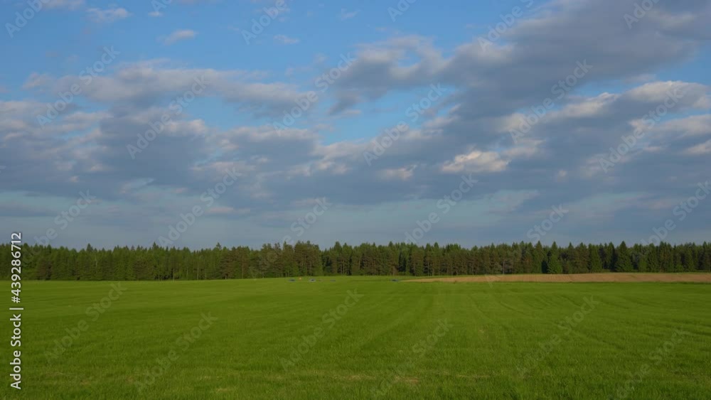 Farming field on bright sunny day. Summer in Slovenia. Grassland. Pasture fields with forest in the background. Green landscape. Left pan, wide angle Farming field on bright sunny day. Summer in Slovenia. Grassland. Pasture fields with forest in the background. Green landscape. Left pan, wide angle